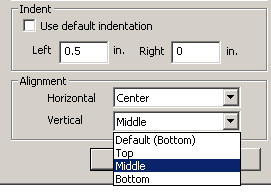 Change Indentation or Alignment - CSPro User's Guide