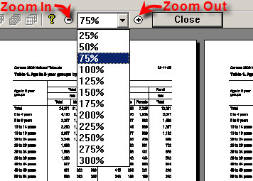 Zooming In and Out in Print Preview